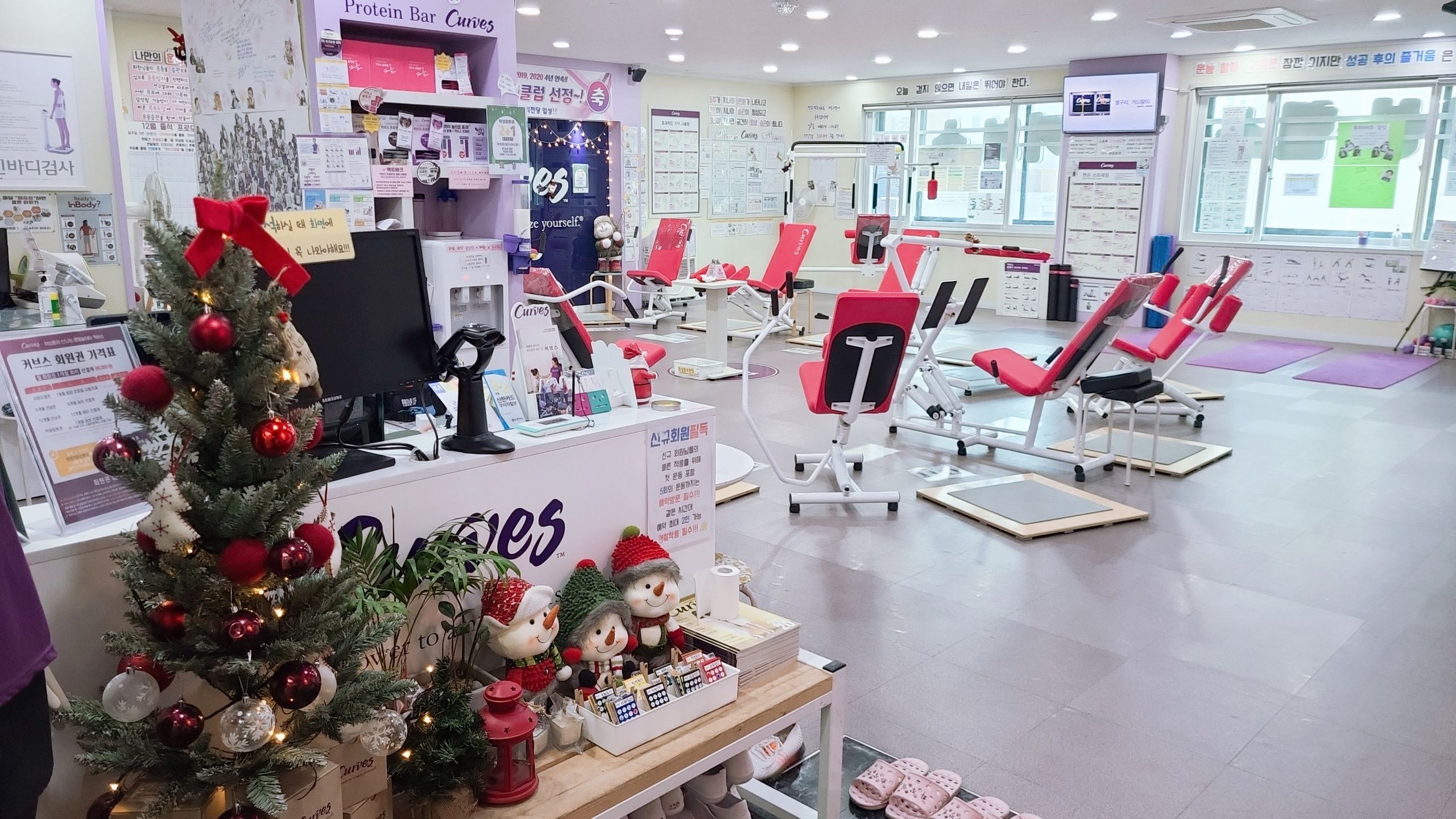 /user/c/curvesch/editor/2412/b2df0ac94d4908af36238f8c15dfbba4_1734752057_1972.jpg 이미지크게보기