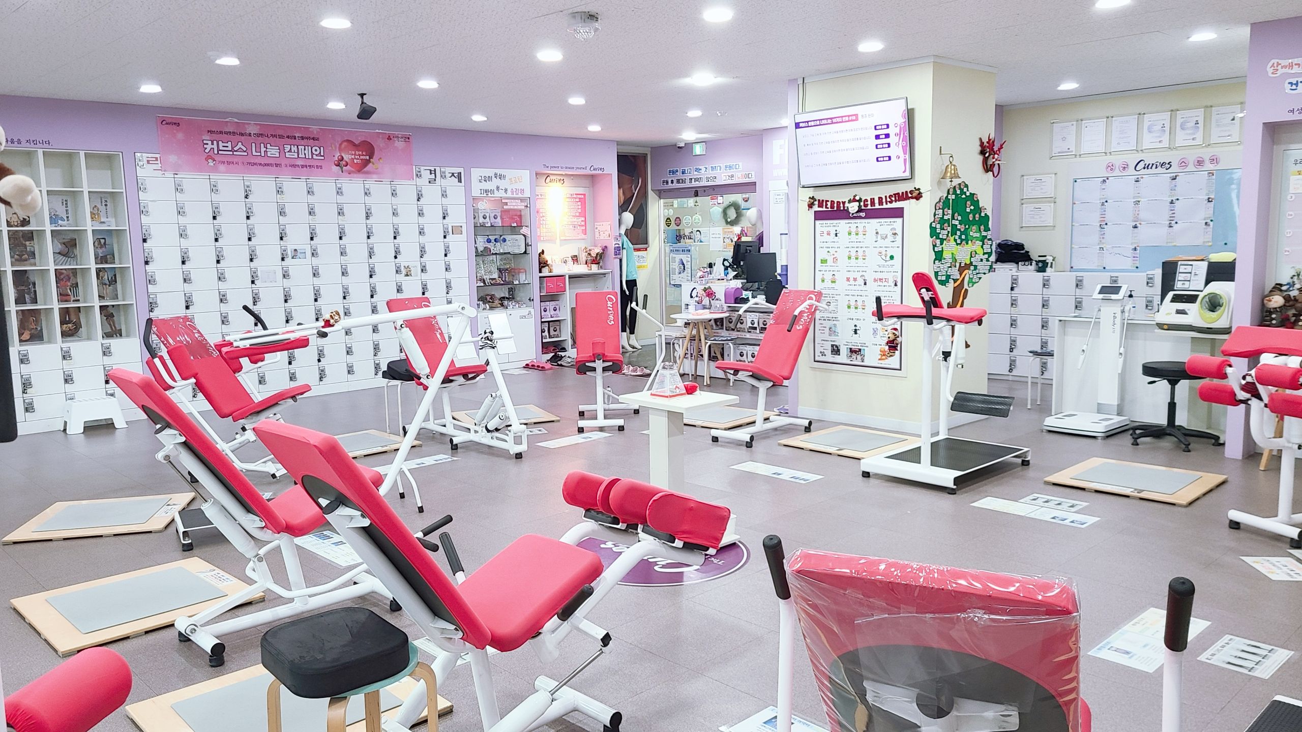 /user/c/curvesch/editor/2412/b2df0ac94d4908af36238f8c15dfbba4_1734752058_442.jpg 이미지크게보기